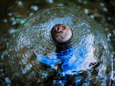 Por que analisar a água do seu poço é essencial para a saúde?